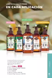 Catálogo Yves Rocher Página 43