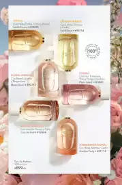 Catálogo Yves Rocher Página 72