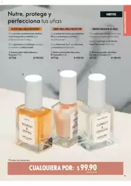 Catálogo Oriflame Página 45