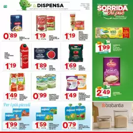 Volantino Sisa Pagina 13