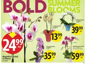 Save on Foods flyer week 29 Page 6