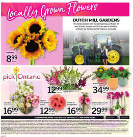 Loblaws flyer week 29 Page 10