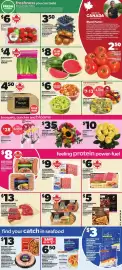 Independent Grocer flyer week 29 Page 3