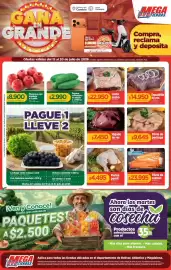 Catálogo MegaTiendas semana 29 Página 1