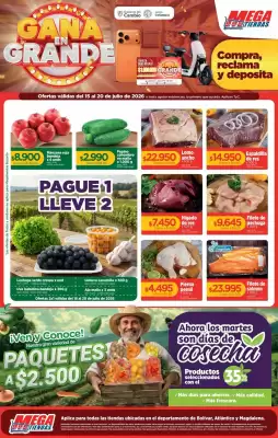 MegaTiendas (válido hasta 21-07)