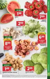 Stokrotka Market gazetka tydzień 29 Strona 11