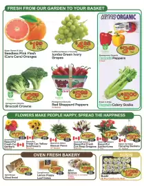 The Garden Basket flyer week 29 Page 2