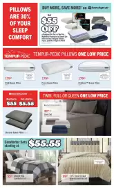 The Brick flyer Page 7
