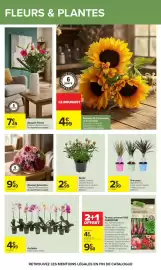 Catalogue Carrefour page 62