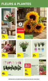 Catalogue Carrefour page 62