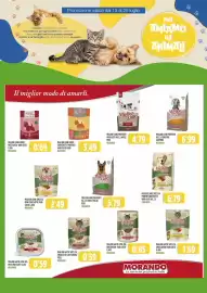 Volantino Rossotono Carrefour Pagina 31