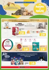 Volantino Rossotono Carrefour Pagina 33