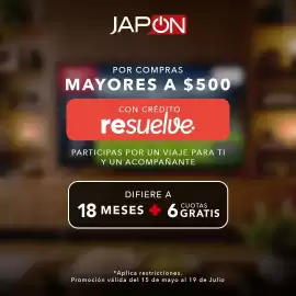 Catálogo Almacenes Japón semana 29 Página 3