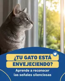 Catálogo Puppis semana 29 Página 1