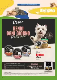 Volantino Bennet Pagina 32
