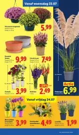 Lidl folder week 30 Pagina 14