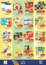 Nesto catalogue Page 13