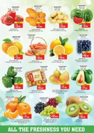Nesto catalogue Page 2