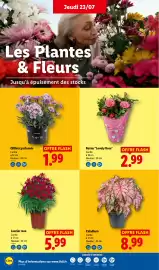 Catalogue Lidl semaine 30 page 28