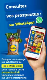 Catalogue Lidl semaine 30 page 61