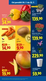 Lidl leták Strana 13