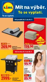Lidl leták týden 30 Strana 1