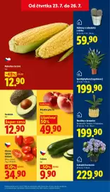 Lidl leták Strana 13