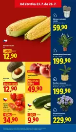 Lidl leták Strana 13