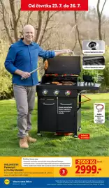 Lidl leták Strana 21
