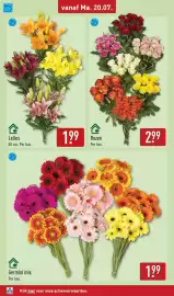 ALDI folder week 30 Pagina 36