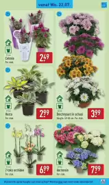 ALDI folder week 30 Pagina 37