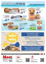 Volantino Maxi Family Pagina 8