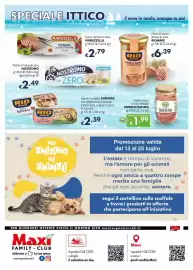 Volantino Maxi Family Pagina 8