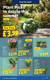 Lidl leaflet week 30 Page 21