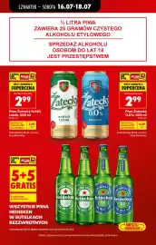 Biedronka gazetka tydzień 29 Strona 13