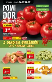 Biedronka gazetka tydzień 29 Strona 22
