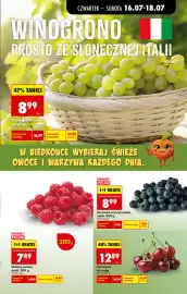 Biedronka gazetka tydzień 29 Strona 23
