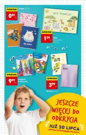 Biedronka gazetka tydzień 29 Strona 47