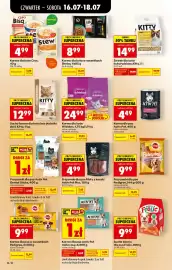 Biedronka gazetka tydzień 29 Strona 72
