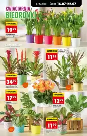 Biedronka gazetka tydzień 29 Strona 73