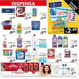 Volantino Maxi Supermercati Pagina 11