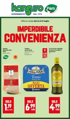 Volantino Kanguro (valido fino al 29-07)