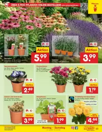 Netto Marken-Discount Prospekt woche 30 Seite 39