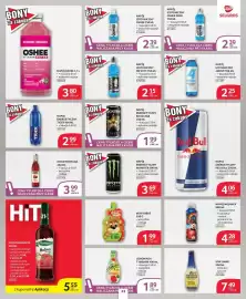 Selgros gazetka Strona 23