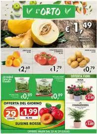 Volantino Coal City Pagina 3