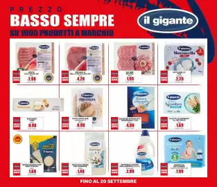 Volantino Il Gigante Pagina 33