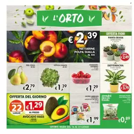 Volantino Maxi Coal Pagina 2