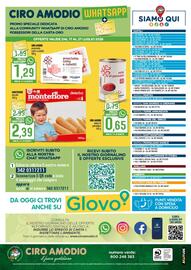 Volantino Ciro Amodio Pagina 12