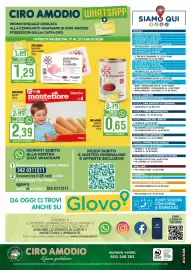 Volantino Ciro Amodio Pagina 12