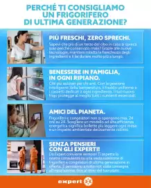 Volantino Domex Expert Pagina 2